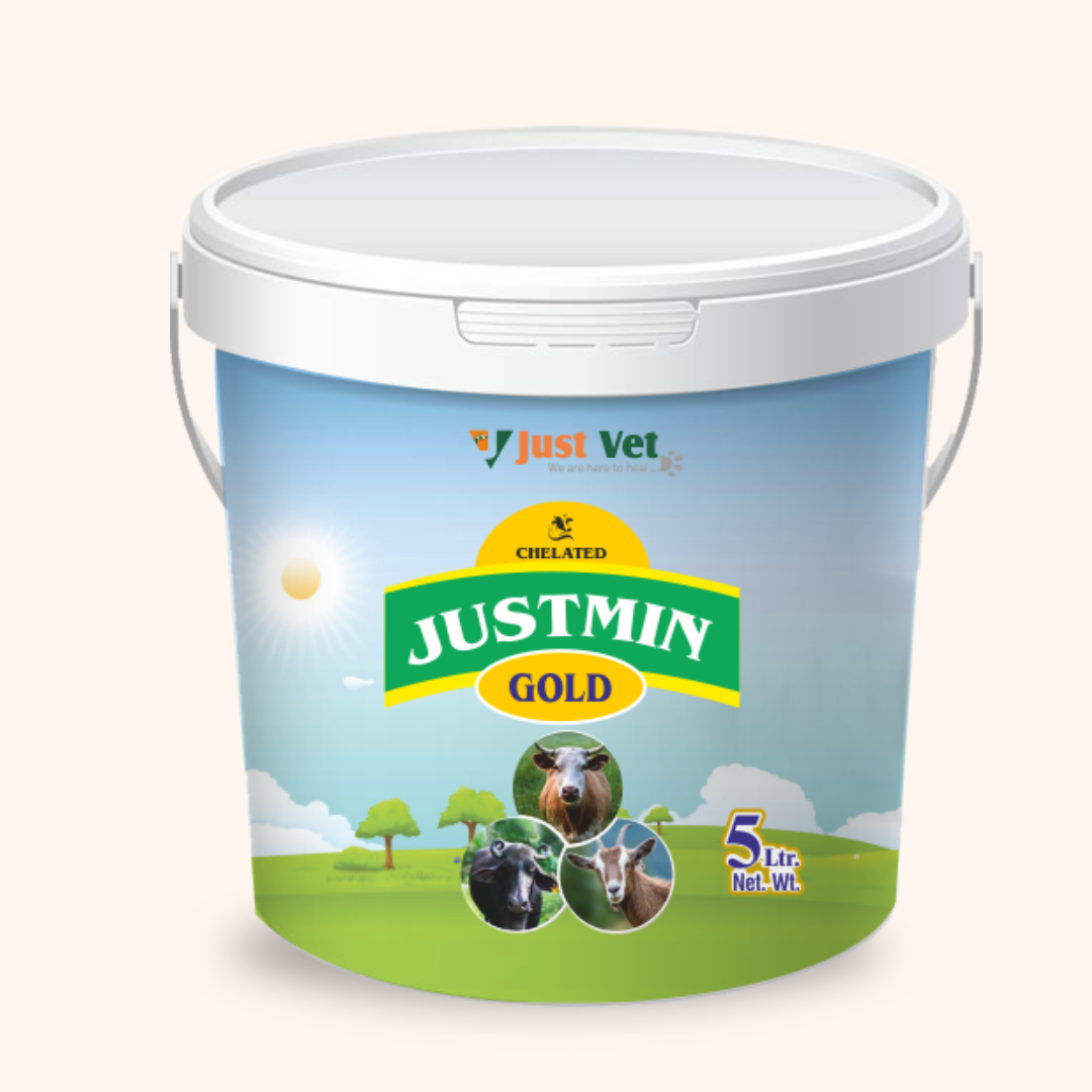 Justmin Gold
