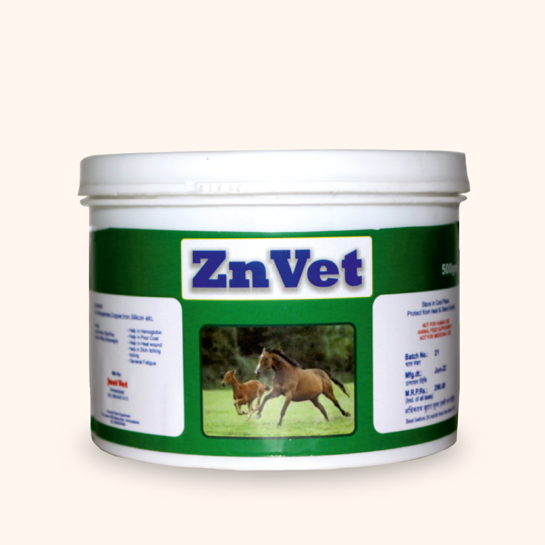 Horse ZnVet